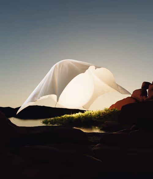 Item #6700050006 Media