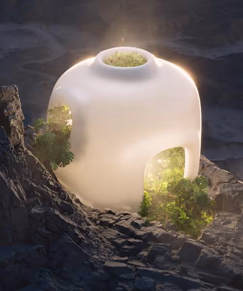 Item #6700060002 Media