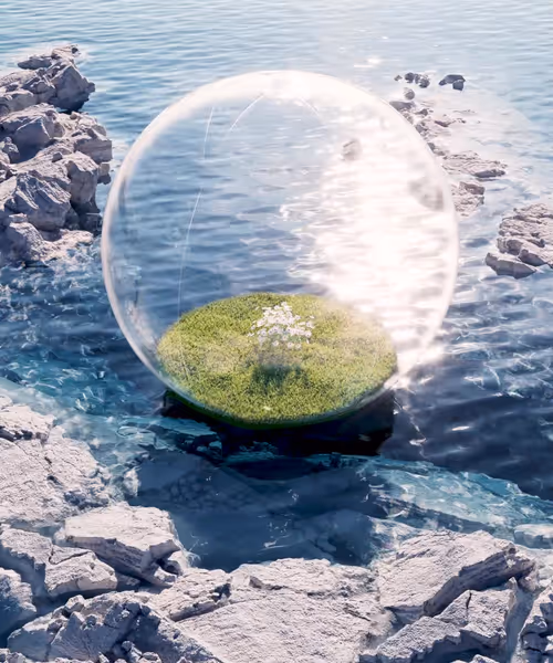 Item #6700020008 Media