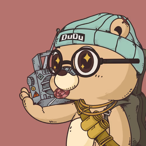 Dudulab Project Dudu
