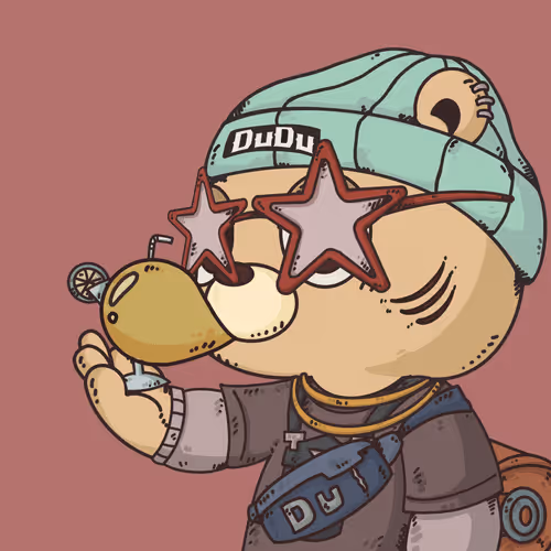 Dudulab Project Dudu