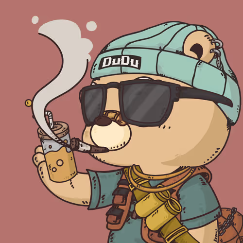 Dudulab Project Dudu