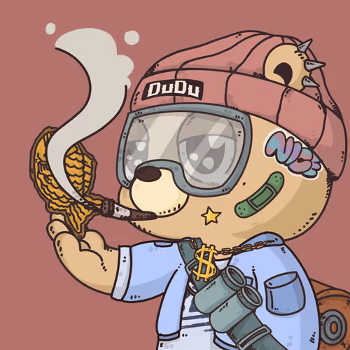 Dudulab Project Dudu