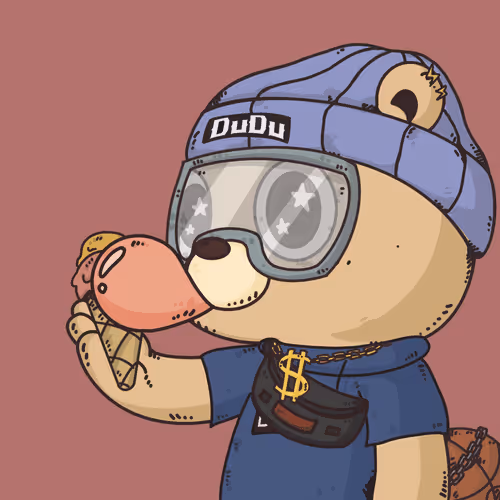 Dudulab Project Dudu