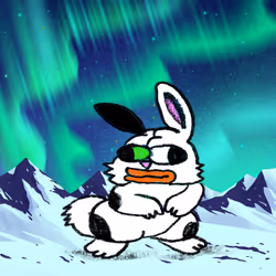 Rabbit Pepe 