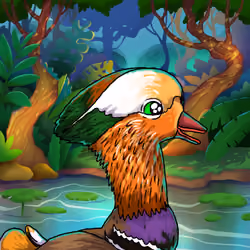 Mandarin Duck Pepe