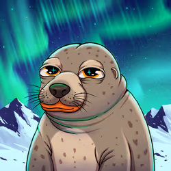 Spotted seal Pepe