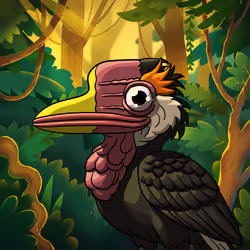 Helmeted Hornbill Pepe