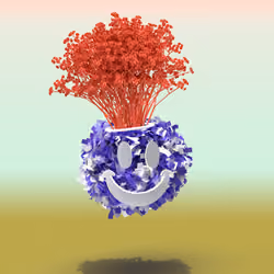 Photosynthesis #1426