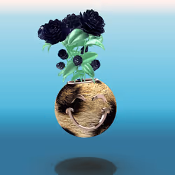 Photosynthesis #1470