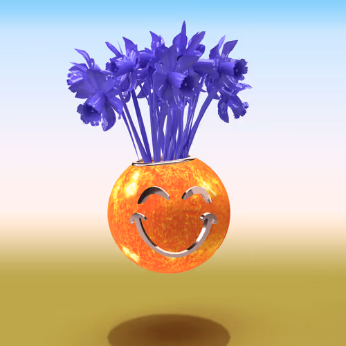 Supermarket Flowers