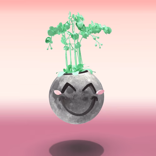 Photosynthesis #2555