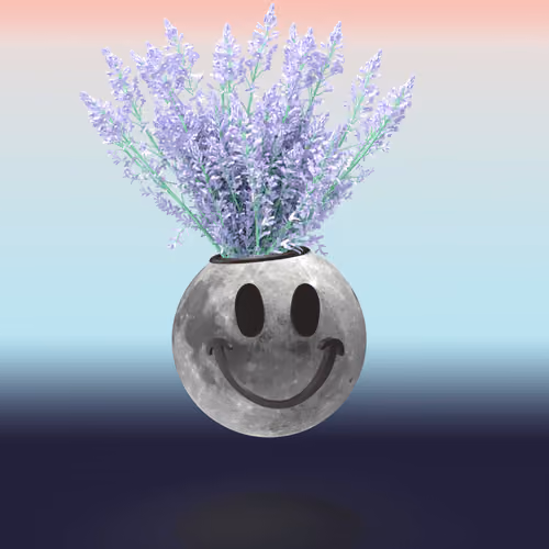 Photosynthesis #587