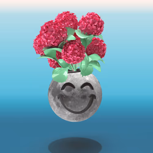 Supermarket Flowers