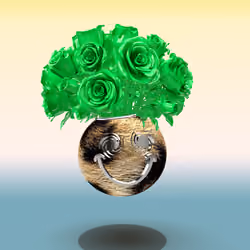 Photosynthesis #734