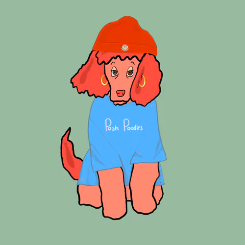Posh Poodles Nft