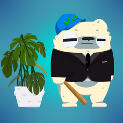 Island Bear #1635