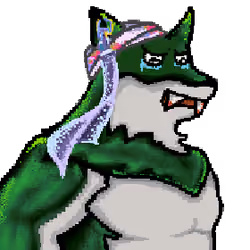 Wolf #571