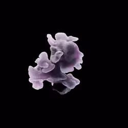 OG:Crystal 2102