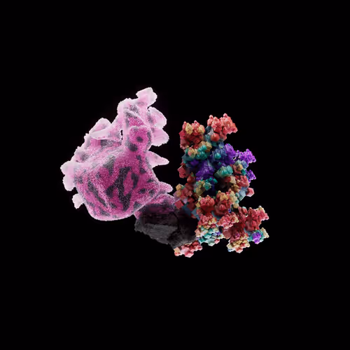 Og Crystals