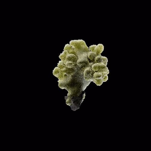 OG:Crystal 238