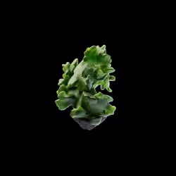 OG:Crystal 982