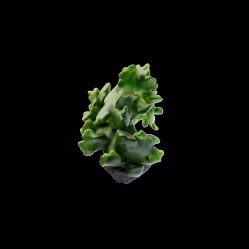 OG:Crystal 982