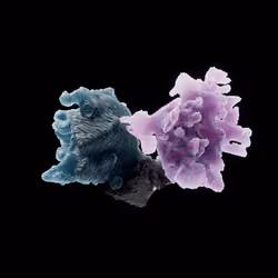 OG:Crystal 161