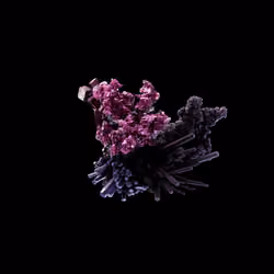 OG:Crystal 10251