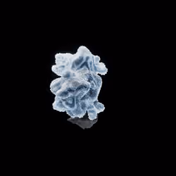 OG:Crystal 1259