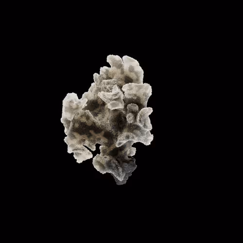 OG:Crystal 2113