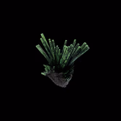 OG:Crystal 3199