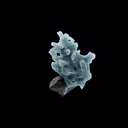 OG:Crystal 9577
