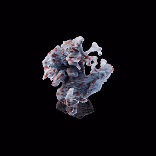 Og Crystals