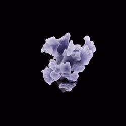 OG:Crystal 9066
