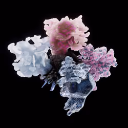OG:Crystal 9489