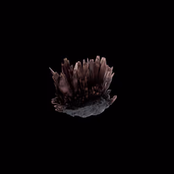 OG:Crystal 5433