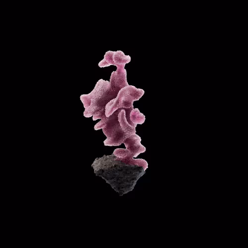 Og Crystals