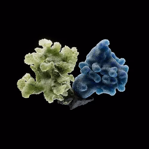 OG:Crystal 206