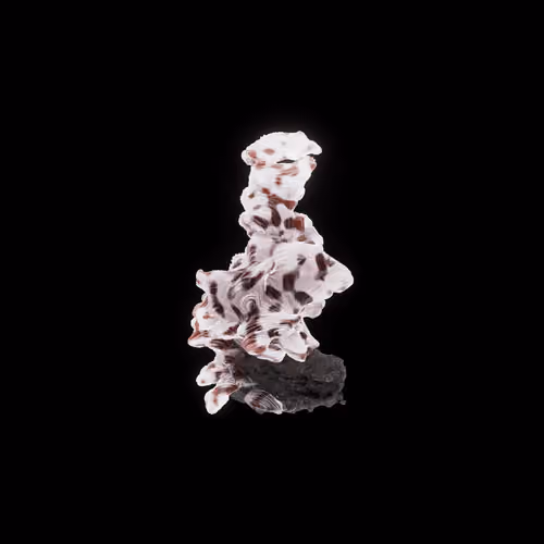 OG:Crystal 7986