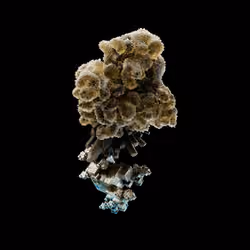 OG:Crystal 7735