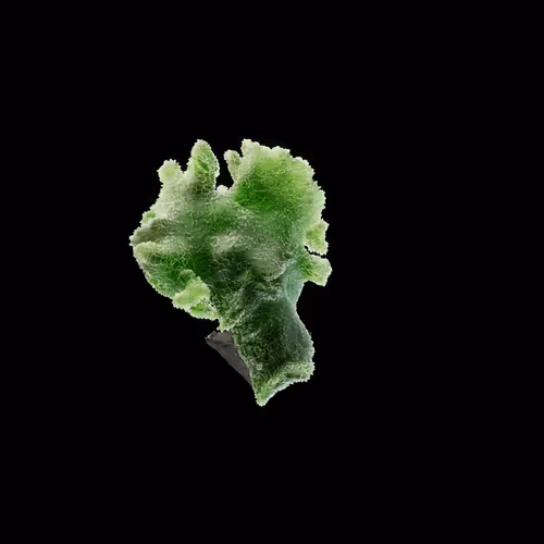 OG:Crystal 3885