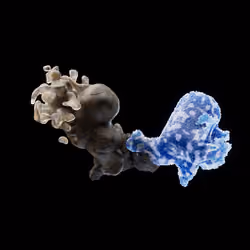 OG:Crystal 5146