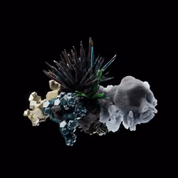 OG:Crystal 1199