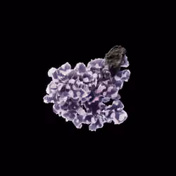 OG:Crystal 9379