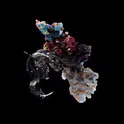 OG:Crystal 3952