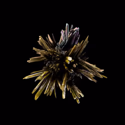 OG:Crystal 5209