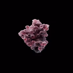 OG:Crystal 6694