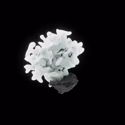 OG:Crystal 8302