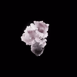 OG:Crystal 7316